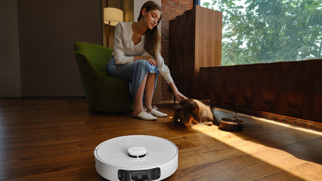 Can A Vacuum Help Get Rid of A Bed Bug Infestation?