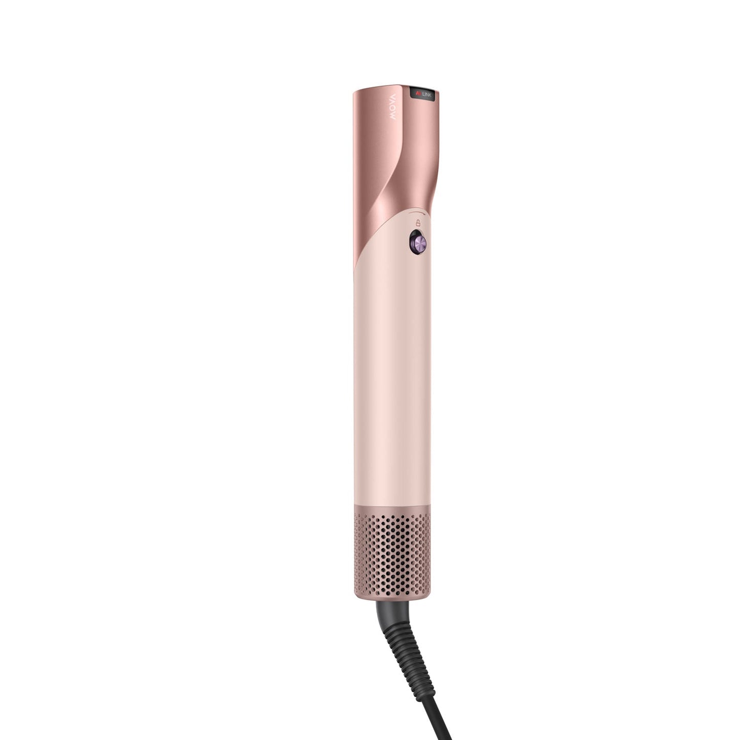 Master 10 Hair Dryer & Styler Silver
