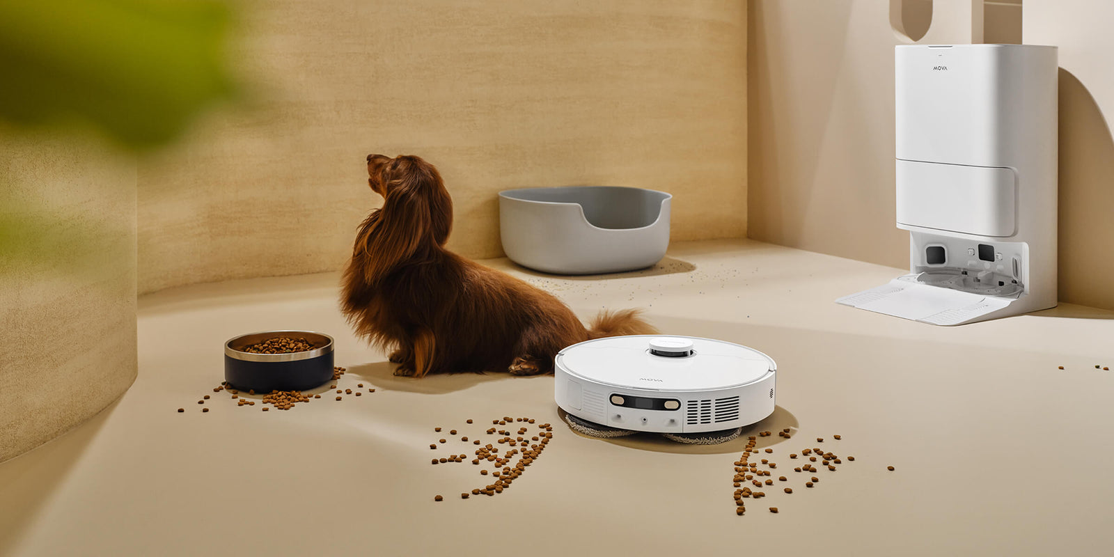 Pet Zone Cleaning Strategy