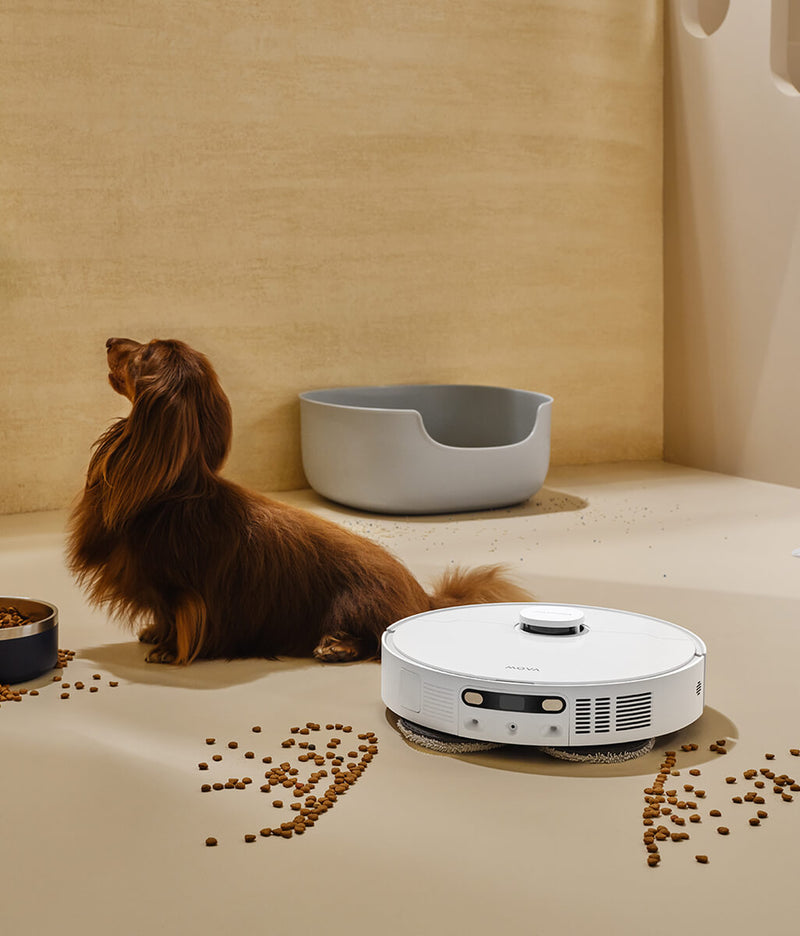 Pet Zone Cleaning Strategy