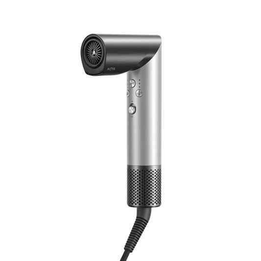 Master 10 Hair Dryer & Styler Silver