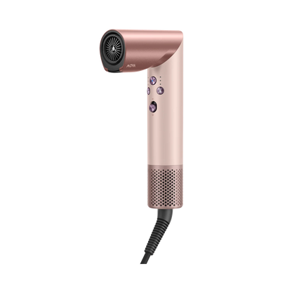 Master 10 Hair Dryer & Styler